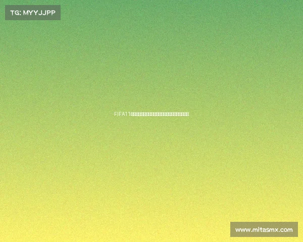 FIFA11世界杯激情回顾与未来足球盛宴全景解析与荣耀时刻